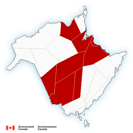 allerta caldo canada