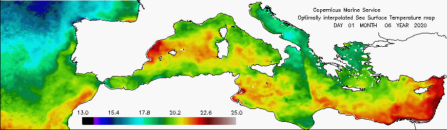 Temperatura del mediterraneo superficiale