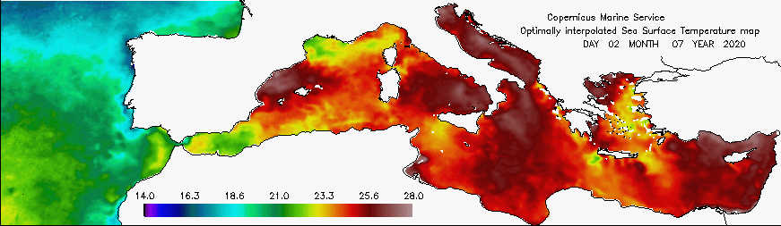 mare temperatura