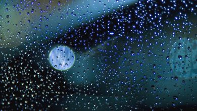 Photo of Insiste la PERTURBAZIONE ma con aria più MITE: previsioni nel dettaglio