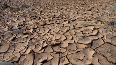 Photo of Siccità in Corea del Nord minaccia raccolti e sicurezza alimentare