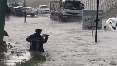 Photo of Impressionante grandinata in Algeria – VIDEO