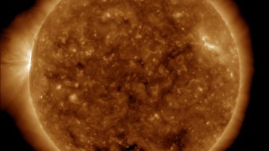 Photo of Brillamenti super sul profilo del sole – VIDEO