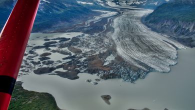Photo of Alaska: il surriscaldamento marino minaccia l’ecosistema artico