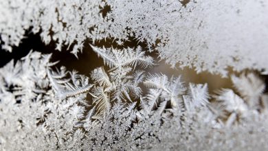 Photo of Freddo al Nord, temperature giù fino a 0°C all’alba: le città più fredde