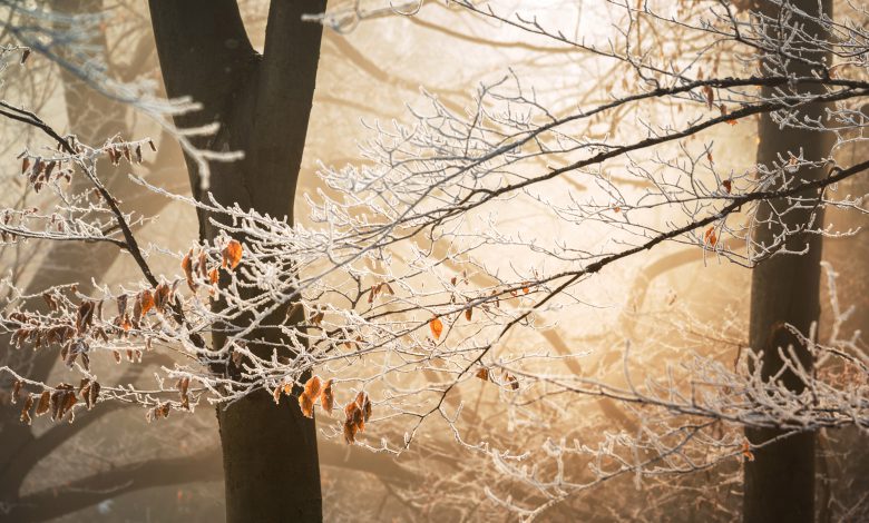 freddo inverno gelo meteo