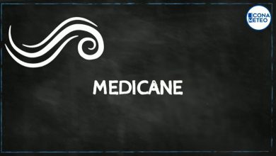 Photo of Medicane: può formarsi un uragano nel Mediterraneo? [VIDEO]