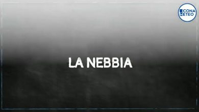 Photo of Nebbia, cos’è e come si forma [VIDEO]