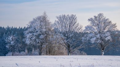 Photo of TEMPESTA di vento e NEVE a bassa quota: la tendenza meteo per giovedì e venerdì