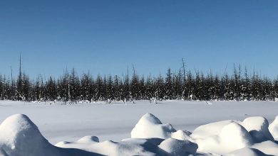 Photo of VIDEO – Siberia, weekend all’insegna del gelo estremo: -60 °C in Jacuzia