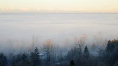 Photo of Alta pressione protegge l’Italia, ma insistono nebbia e inquinamento