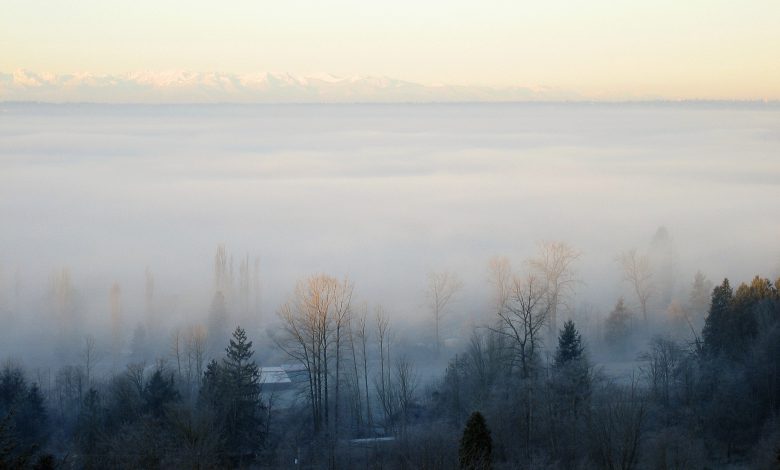 meteo nebbia