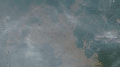 Photo of Amazzonia, deforestazione implacabile: quasi 90mila roghi nel 2019. I dati