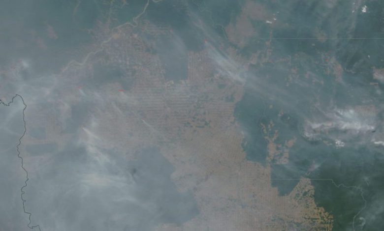 Amazzonia deforestazione