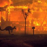 australia incendi