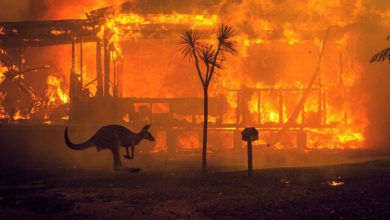 Photo of Australia, arriva la pioggia nelle zone degli incendi: Melbourne in allerta