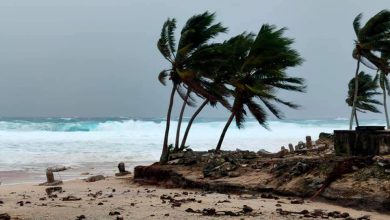 Photo of Tonga in allerta per l’arrivo del Ciclone Tino