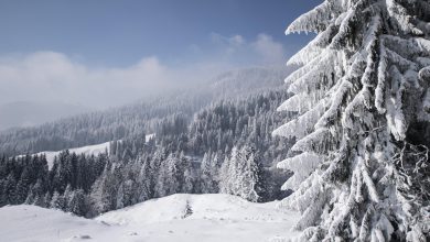 Photo of VIDEO – La neve è tornata su Alpi a Appennino: le zone imbiancate