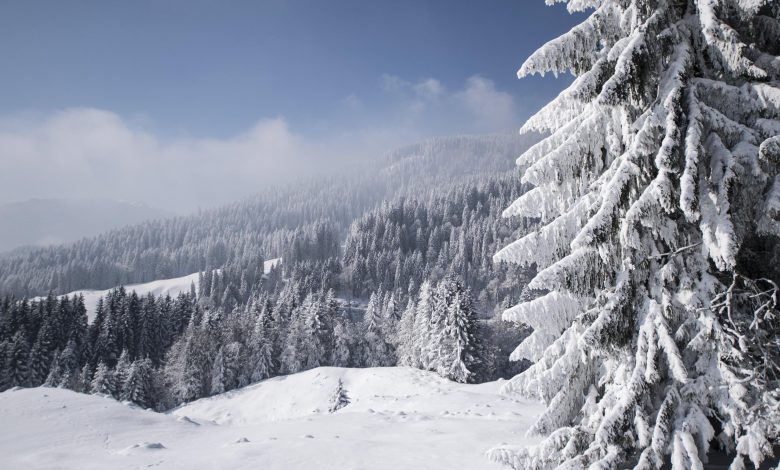 VIDEO - La neve è tornata su Alpi a Appennino: le zone imbiancate