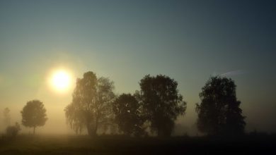 Photo of Weekend, caldo anomalo sulle Alpi e nebbia fitta in Val Padana: i dettagli