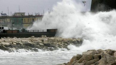 Photo of Vento in rinforzo: domani le raffiche potranno superare gli 80 km orari. Ecco dove