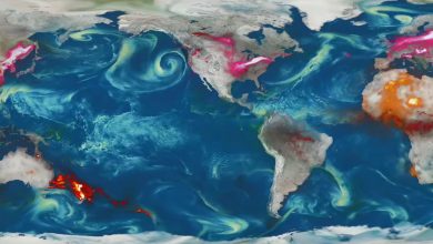 Photo of Il fumo degli incendi in Australia ha fatto il giro del Mondo – VIDEO