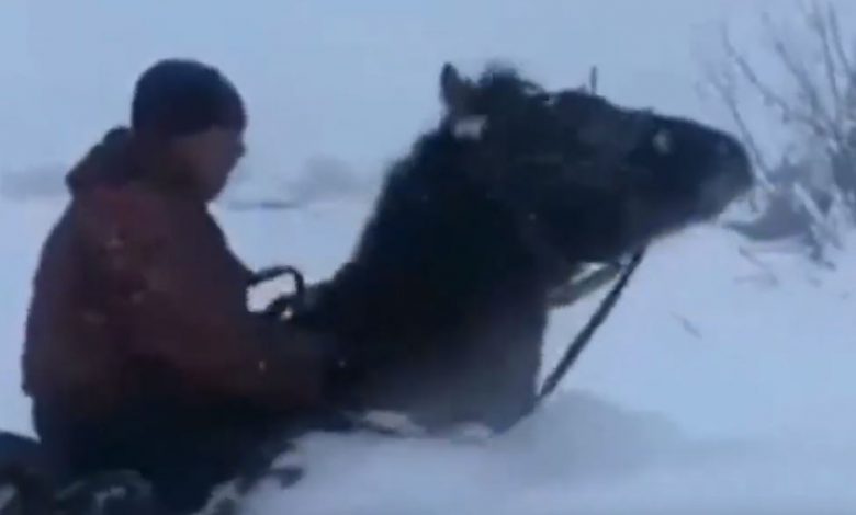 kazakistan neve