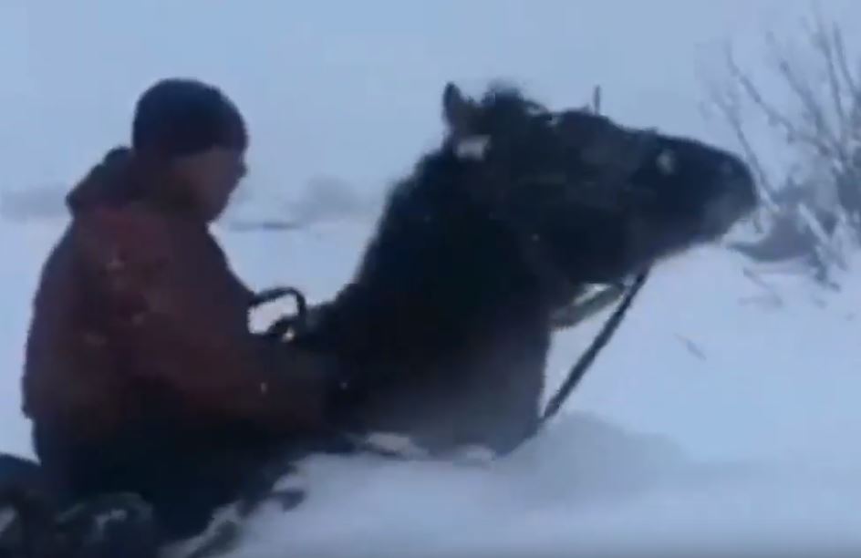 kazakistan neve