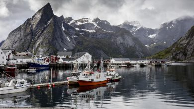 Photo of In Norvegia sono stati registrati 19 gradi: è caldo record
