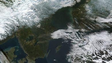 Photo of E’ un caldo inverno in Svezia e Finlandia – VIDEO