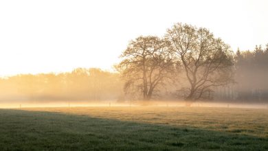Photo of Meteo, tempo soleggiato con due eccezioni: dove insisterà la nebbia?