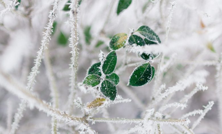 meteo freddo inverno gelo epifania befana