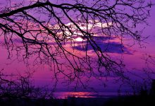 Photo of Dicembre 2025 è stato il più caldo per il Nord Italia: i dati