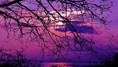 Photo of PIOGGE e VENTI in attenuazione, CLIMA più mite ovunque: le previsioni