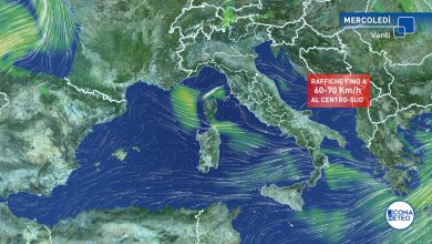 Photo of FREDDO assente nei giorni della MERLA