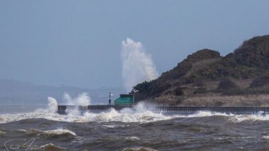 Photo of VIDEO – Tempesta Ciara, disagi e problemi: Germania e Regno Unito in tilt