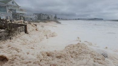 Photo of Nuova Caledonia sfiorata dal Ciclone Uesi – VIDEO
