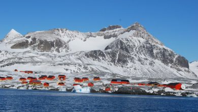 Photo of Argentina, caldo record nella regione dell’Antartide: +18,3 °C. I dati