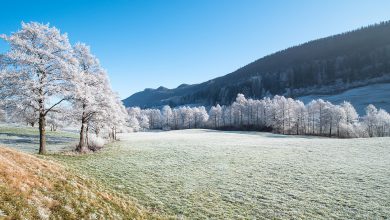 Photo of Dopo il CALDO, risveglio SOTTO ZERO oggi al Nord: le previsioni meteo