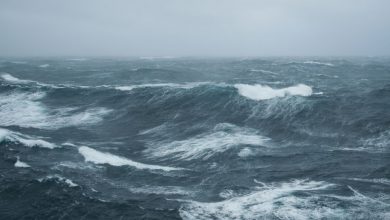 Photo of Meteo, Italia a rischio di forti mareggiate. Quale altezza toccheranno le onde?
