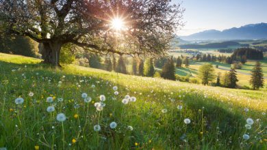 Photo of Con l’equinozio di PRIMAVERA torna la PIOGGIA
