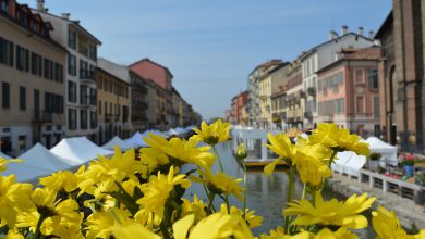 Photo of CALDO fuori stagione fino a domani: le previsioni