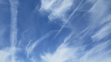 Photo of Da metà settimana PRIMAVERA alla riscossa: le temperature tornano sopra la norma