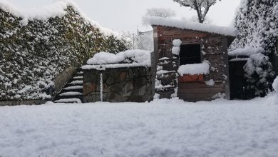 Photo of VIDEO – Eccezionale neve di marzo, imbiancato anche il Sud: le immagini