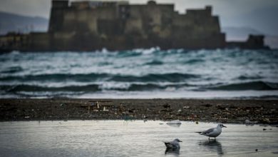 Photo of Meteo Napoli oggi: temporali, nuvole e mare agitato
