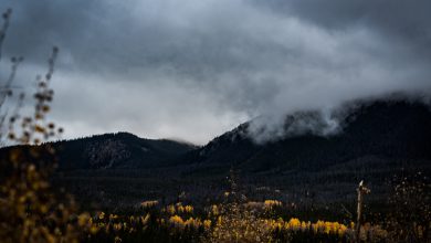 Photo of PRIMAVERA al via oggi con i primi segni di PEGGIORAMENTO