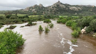 Photo of MALTEMPO in SARDEGNA: allagamenti, black out e paesi senza acqua potabile
