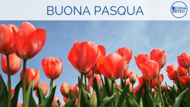 Photo of PASQUA con tanto sole e caldo eccezionale: è un EVENTO RARO. I dati