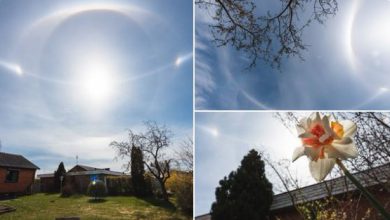 Photo of ANELLO di LUCE intorno al Sole, uno spettacolo nel cielo di Svezia e Danimarca