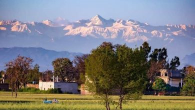 Photo of Dal nord dell’India si vede l’Himalaya per la prima volta in 30 anni